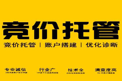 某品牌通过SEM优化公司实现品牌曝光飞跃